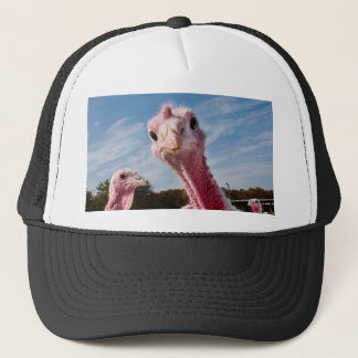 Gorra De Camionero ¿Ponga mi cabeza donde?