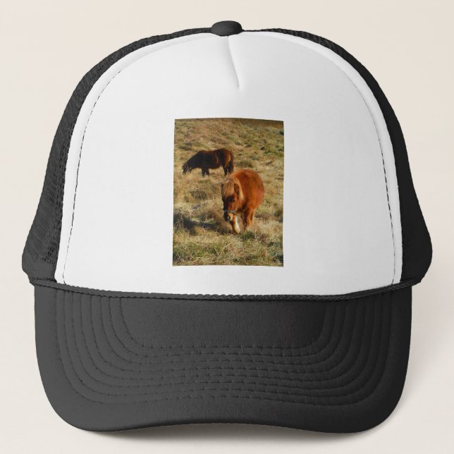 Gorra De Camionero ponis de caballo en miniatura (Anverso)