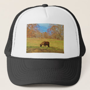 Gorra De Camionero Pony en miniatura marrón