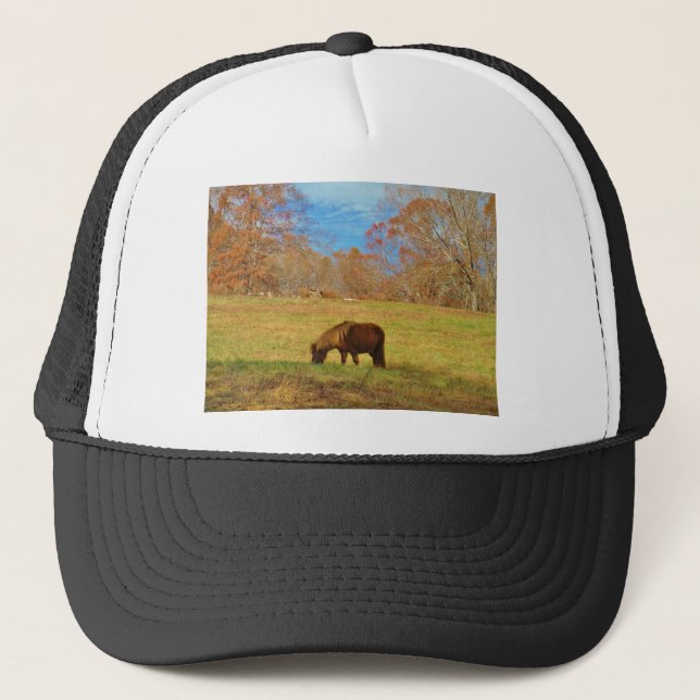 Gorra De Camionero Pony en miniatura marrón (Anverso)