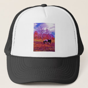 Gorra De Camionero PONY EN UN campo de color RÁINBOW