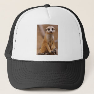 Gorra De Camionero Presentación de Meerkat
