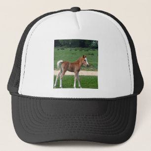 Gorra De Camionero Primavera linda de los regalos del destino del