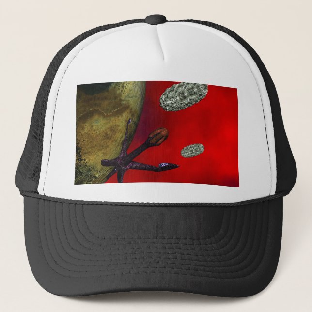 Gorra De Camionero primer contacto (Anverso)