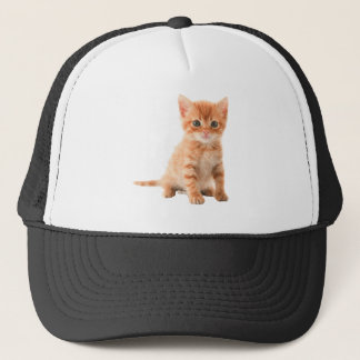 Gorra De Camionero productos impresos para descargar imágenes de gato