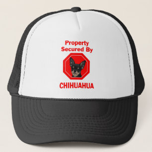 Gorra De Camionero Propiedad asegurada por la chihuahua