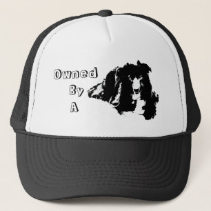 Gorra De Camionero Propiedad de un Border Collie divertido perro 