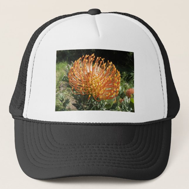 Gorra De Camionero protéa (Anverso)