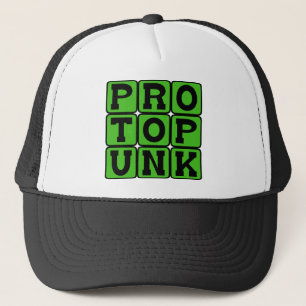 Gorra De Camionero Protopunk, Género Musical