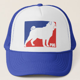 GORRA DE CAMIONERO PUENTE
