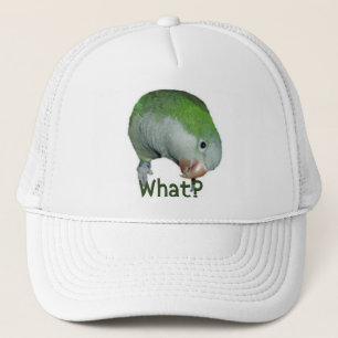 Gorra De Camionero ¿Qué?