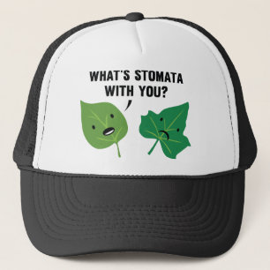 Gorra De Camionero ¿Qué pasa con los estomas?