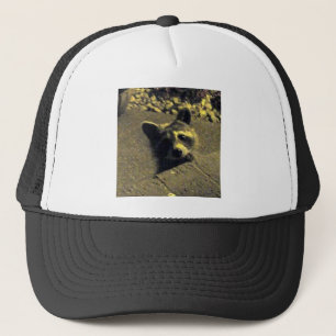 Gorra De Camionero Raccoon ~ Cara de un ángel