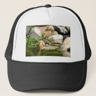Gorra De Camionero Rana