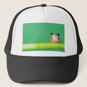 Gorra De Camionero rana arbórea observada rojo