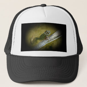 Gorra De Camionero Rana toro americana - Rana catesbeiana