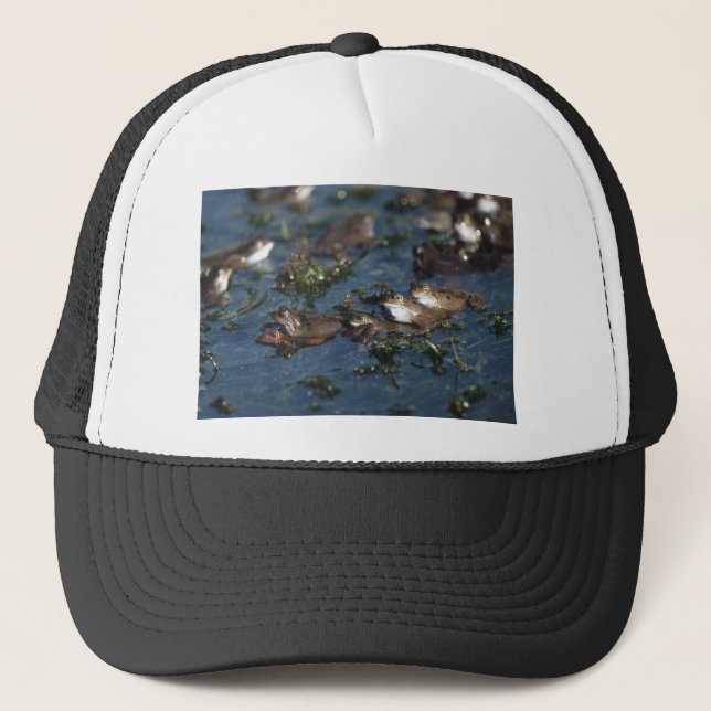 Gorra De Camionero Ranas divertidas (Anverso)