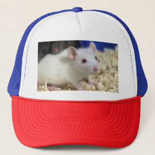 Gorra De Camionero Rata