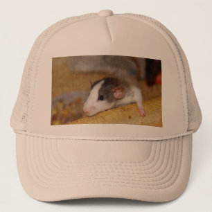 Gorra De Camionero Rata Cuta