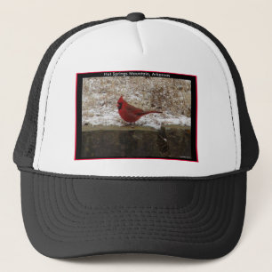 Gorra De Camionero Regalos Cardinal Hot Springs Nat. Park Montaña AR