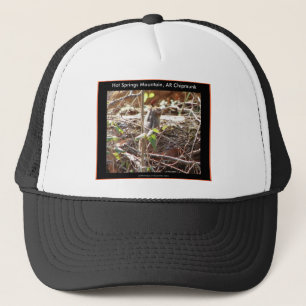 Gorra De Camionero Regalos de ardilla de tierra de Montaña Hot Spring