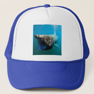 Gorra De Camionero Regalos de destino oceánico tropical de los peces