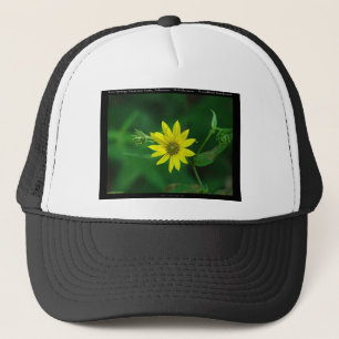 Gorra De Camionero Regalos de Girasol de Bosque del Parque Nacional H