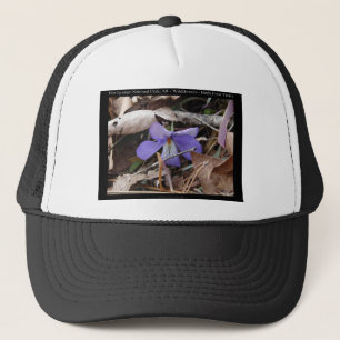 Gorra De Camionero Regalos de Violetas Silvestres de Hot Springs Nati