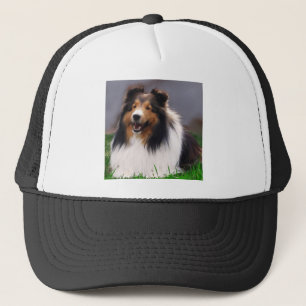 Gorra De Camionero Regalos del arte de Sheltie del perro pastor de