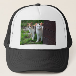 Gorra De Camionero Reproducción de gatos