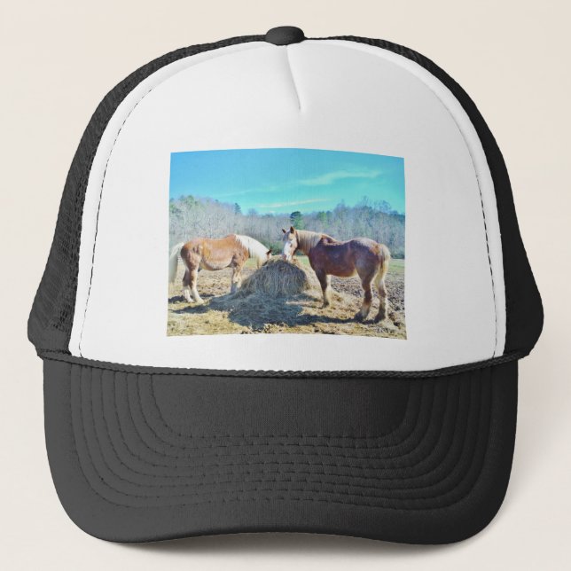 Gorra De Camionero Rescatados Caballos Borradores comiendo heno (Anverso)