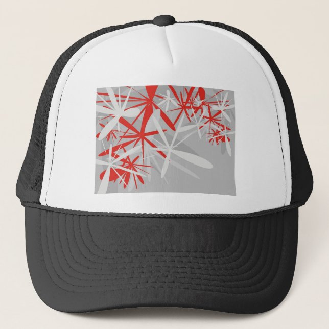 Gorra De Camionero Resumen Antecedentes (Anverso)