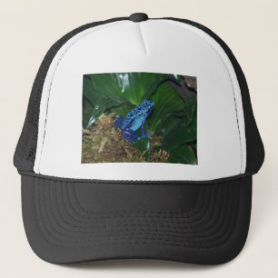 Gorra De Camionero Retrato azul de la rana de la flecha del veneno