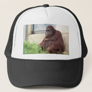 Gorra De Camionero Retrato del orangután