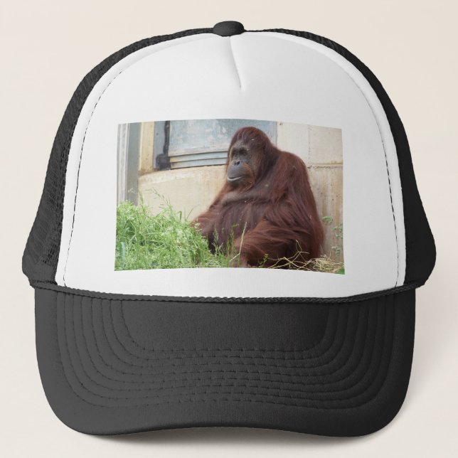 Gorra De Camionero Retrato del orangután (Anverso)