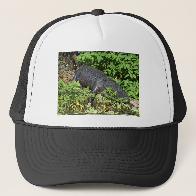 Gorra De Camionero Río Plateado (Anverso)