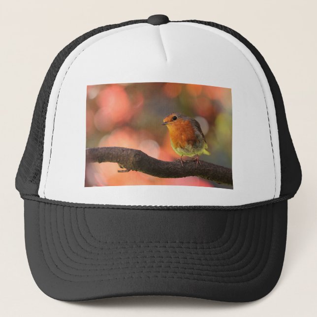 Gorra De Camionero Robin en una rama (Anverso)