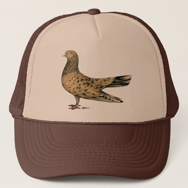 Gorra De Camionero Roller Oriental Volador: Almond (Anverso)