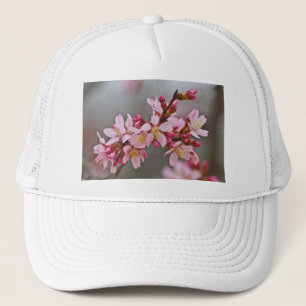Gorra De Camionero Rosa Contra Los Flores De Cerezo Japoneses Con Cie