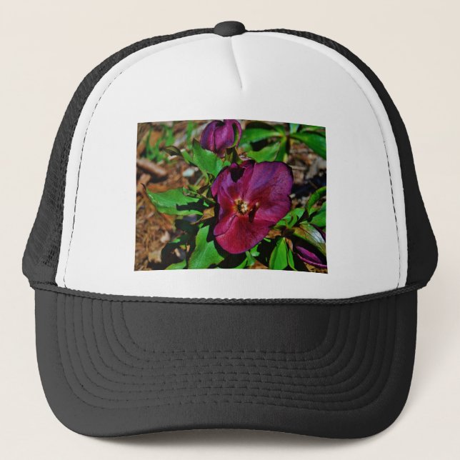 Gorra De Camionero Rosa de Cuaresma Rosa Borgoña (Anverso)