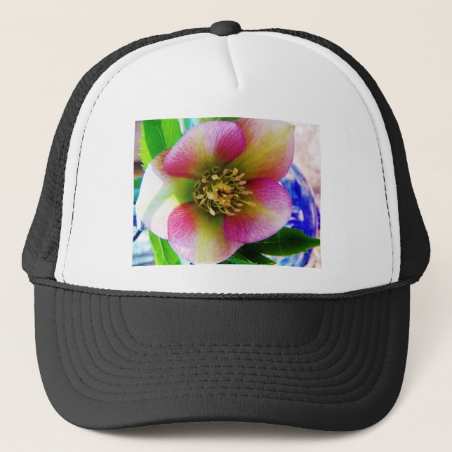 Gorra De Camionero Rosa rosa de Cuaresma, (Anverso)