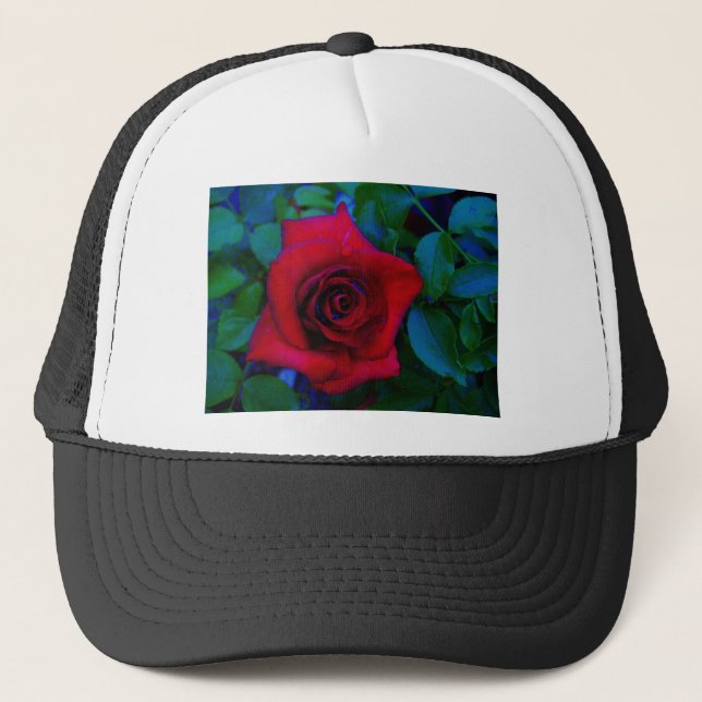 Gorra De Camionero Roses rojos con tonos azules (Anverso)