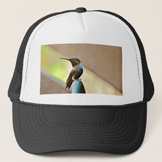 Gorra De Camionero Ruby encaramado y colibrí verde (Anverso)