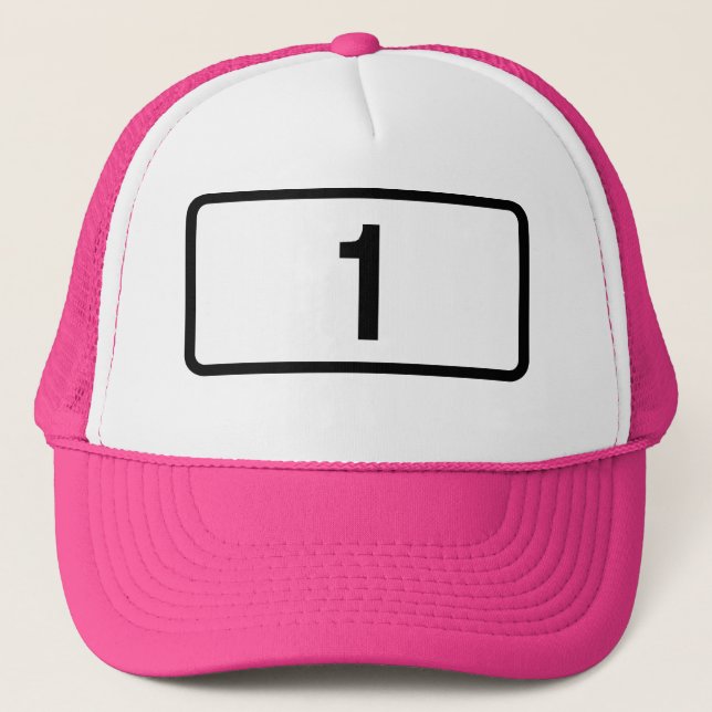 Gorra De Camionero Ruta de Anillo 1 de PINK Islandia (Anverso)