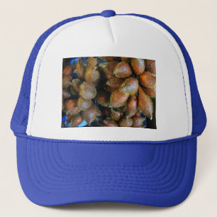 Gorra De Camionero Salak [Fruta de la serpiente]