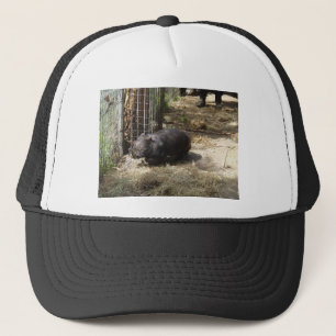 Gorra De Camionero Salvaje para Wombats