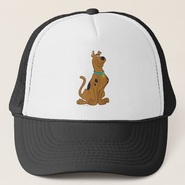 Gorra De Camionero Scooby-Doo Cuter Thate (Anverso)