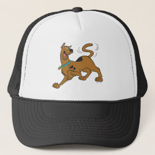 Gorra De Camionero Scooby-Doo Tail Wag