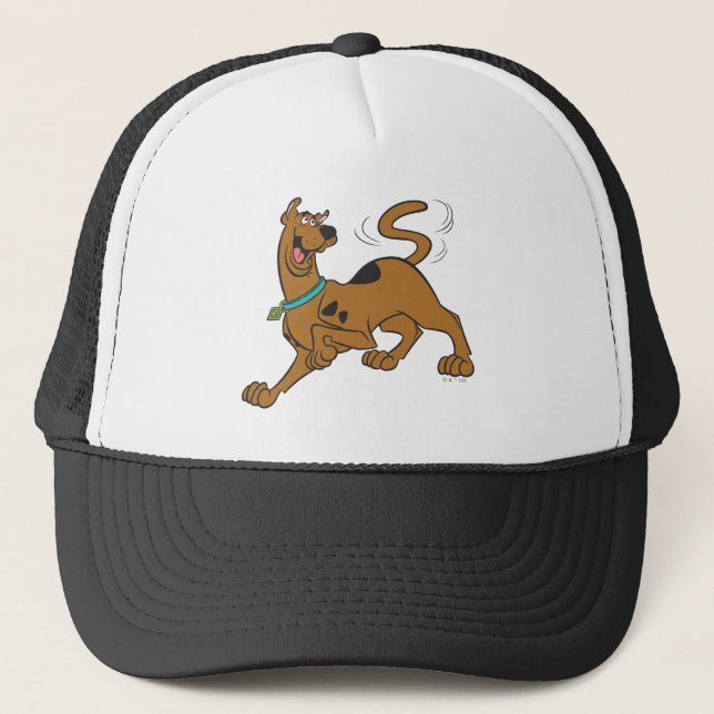 Gorra De Camionero Scooby-Doo Tail Wag (Anverso)