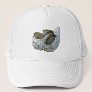 Gorra De Camionero Seashell - Personalizar Elija su color de fondo